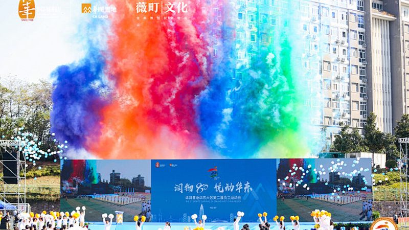 VI设计：流程步骤全解析，注意事项不容忽视**